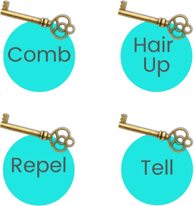 The 4 keys to becoming lice-free: comb, hair up, repel and tell